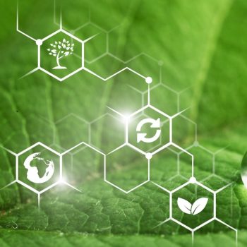 greenchemistryban greenchemistryban